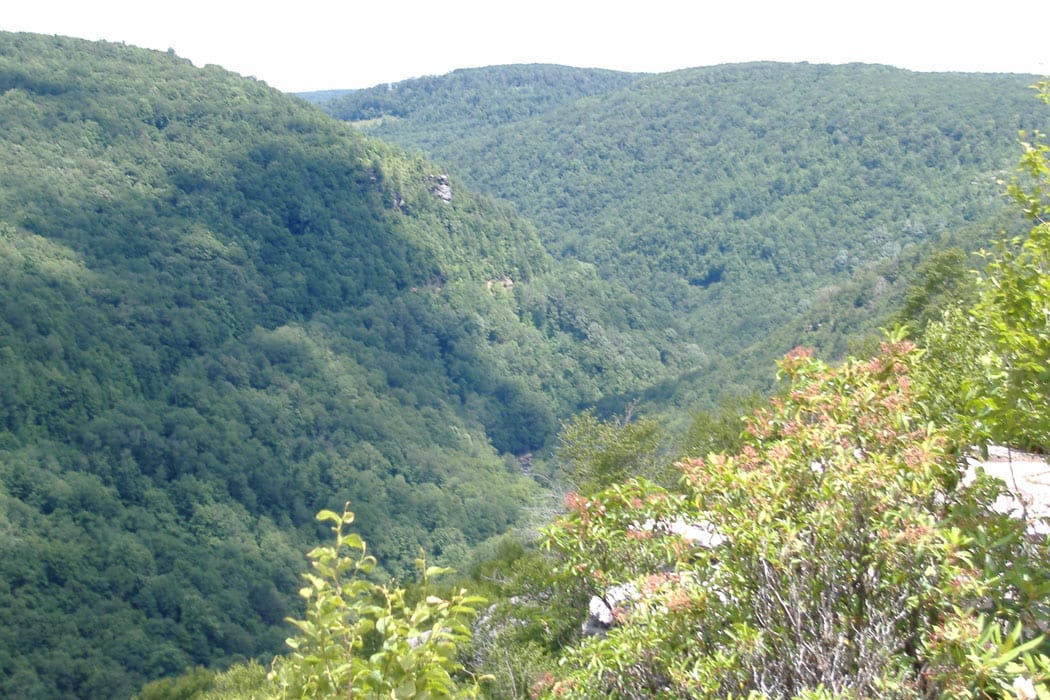 Family Medicine Of Berkeley Springs Family Medicine Of Berkeley Springs